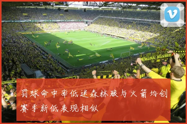 罚球命中率低迷森林狼与火箭均创赛季新低表现相似